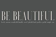 Venice | A Beautiful Serif, a Serif Font by Jen Wagner Co (Thumbnail 7 of 8)