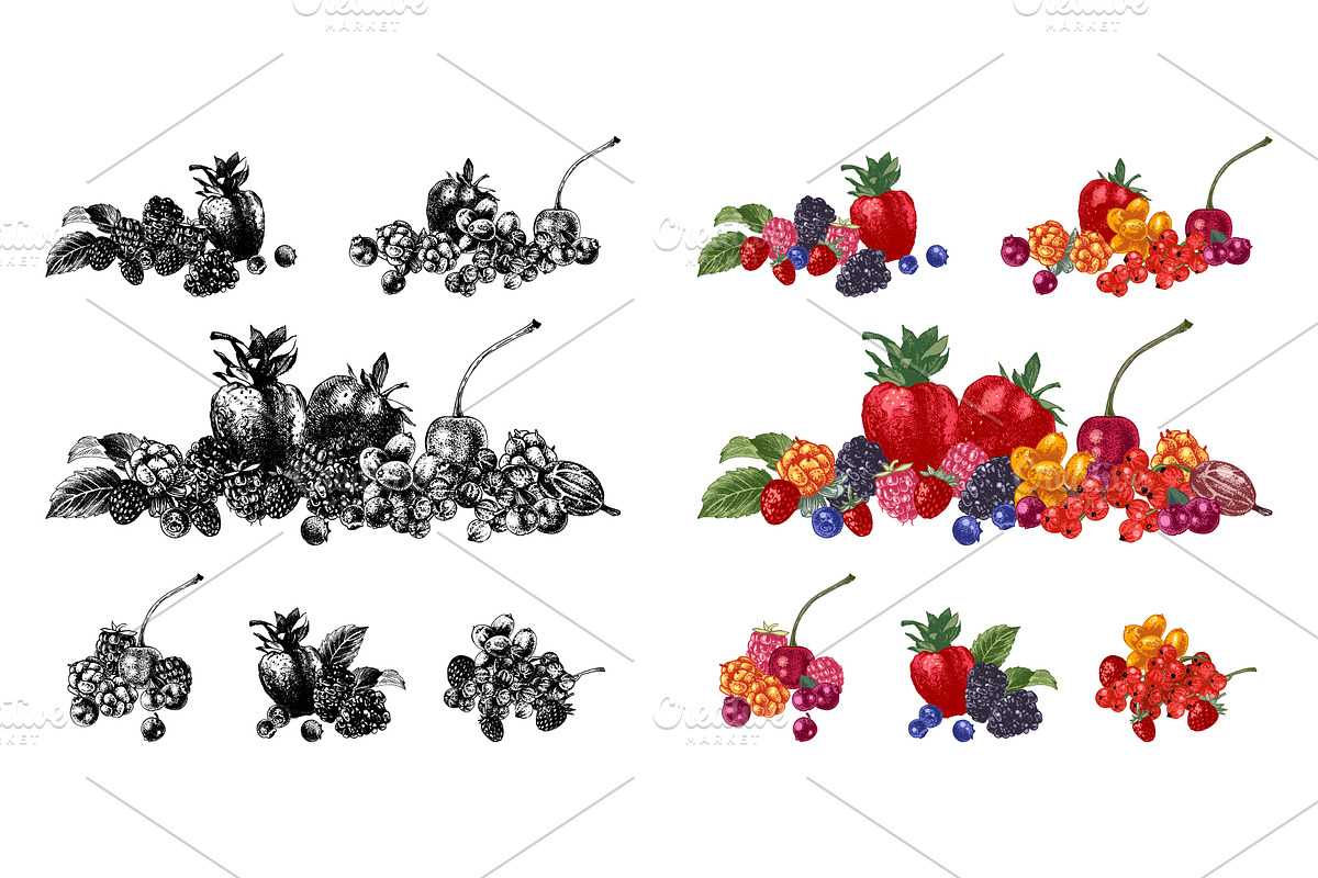 Fresh berries, a Food Illustration by handsketched (Photo 10 of 21)