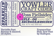 Franqueline Slab, a Slab Serif Font by Sudtipos (Thumbnail 2 of 7)
