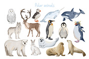 Polar Animals Clipart, an Animal Illustration by ArtGiftsStudio (Thumbnail 2 of 6)