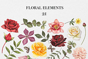 Watercolor Autumn Garden Flowers, an Object Illustration by DiashaArt (Thumbnail 11 of 12)