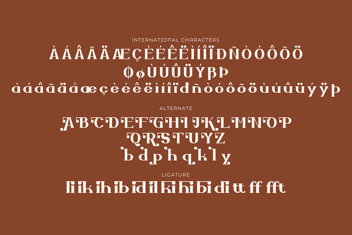 Zellique - Modern Serif Font, a Serif Font by Rishsketch (Photo 13 of 15)