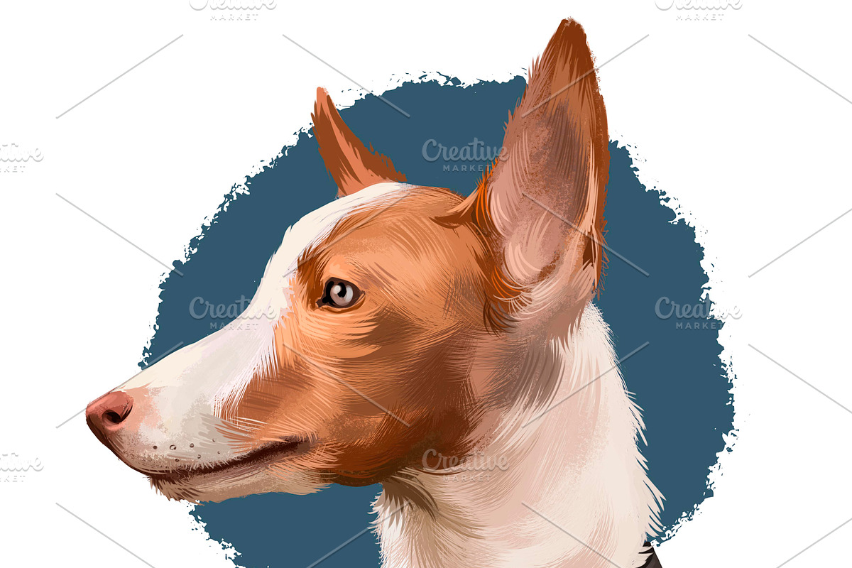 Dogs Pet Portraits Art Print Set 6, an Animal Illustration by Dneprstock (Photo 5 of 5)