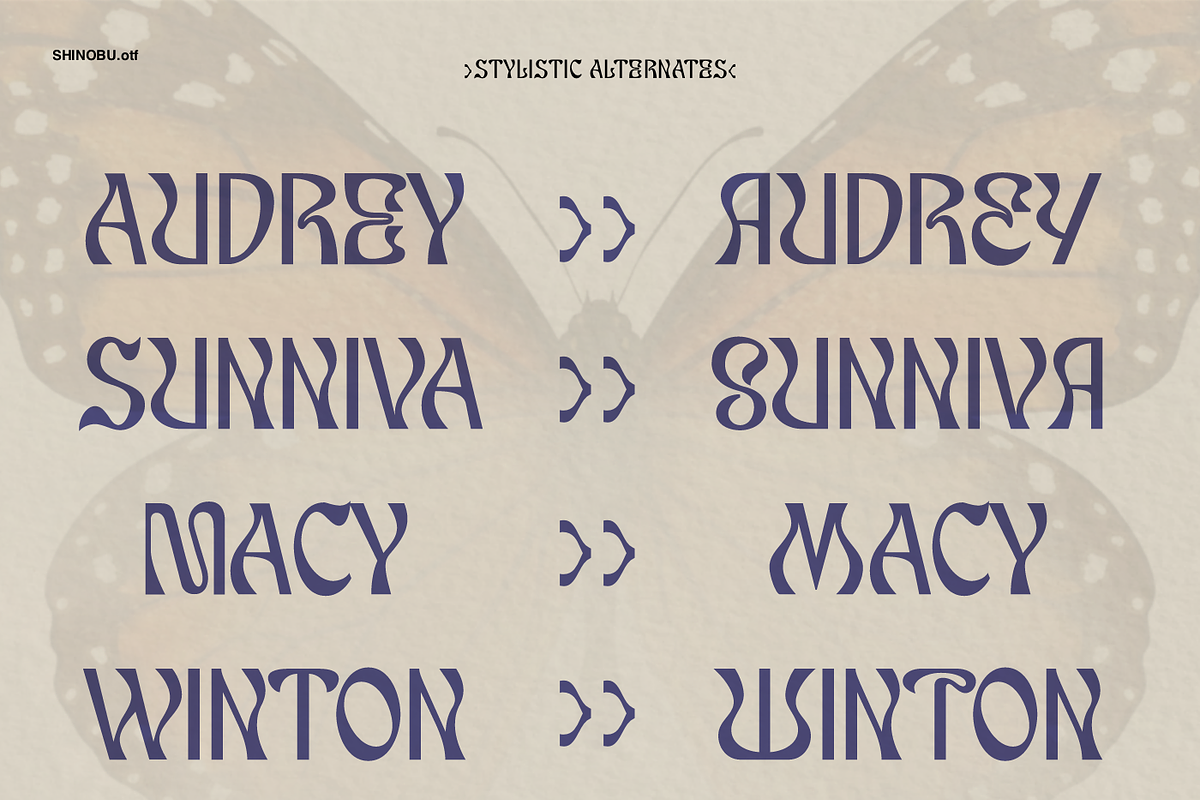Shinobu - Elegant Psychedelic Font, a Font by Lurinzu Studios (Photo 4 of 10)