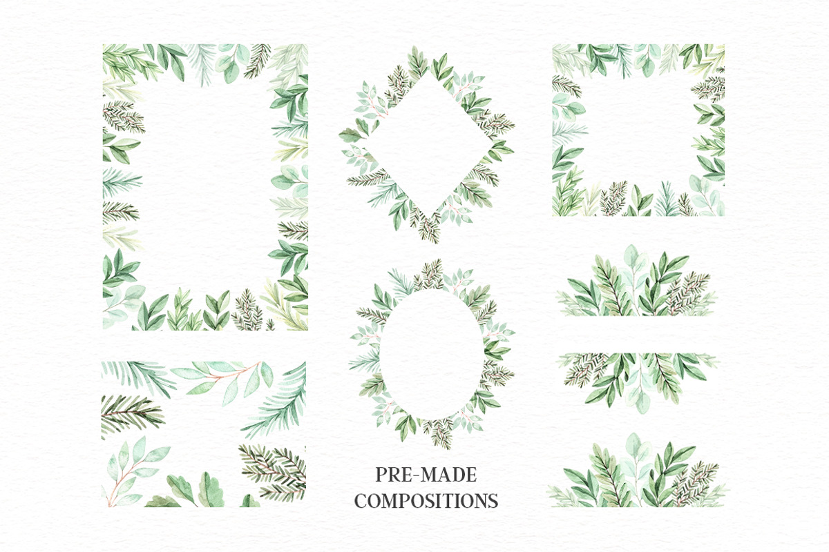 Elegant eucalyptus & fir branches, a Decorative Illustration by Kate Macate (Photo 4 of 6)