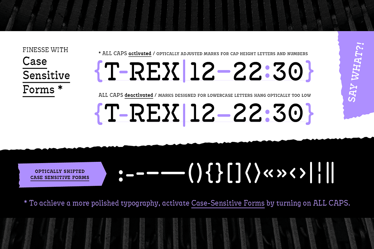 Antypica Light, a Slab Serif Font by Anfound Type (Photo 13 of 24)