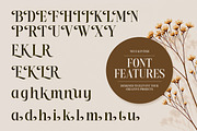 Neue Kentish | Elegant Serif Font, a Serif Font by Graptail (Thumbnail 10 of 12)