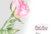 Watercolor pink roses and leaves, an Illustration by OlDm_Shop (Thumbnail 6 of 10)