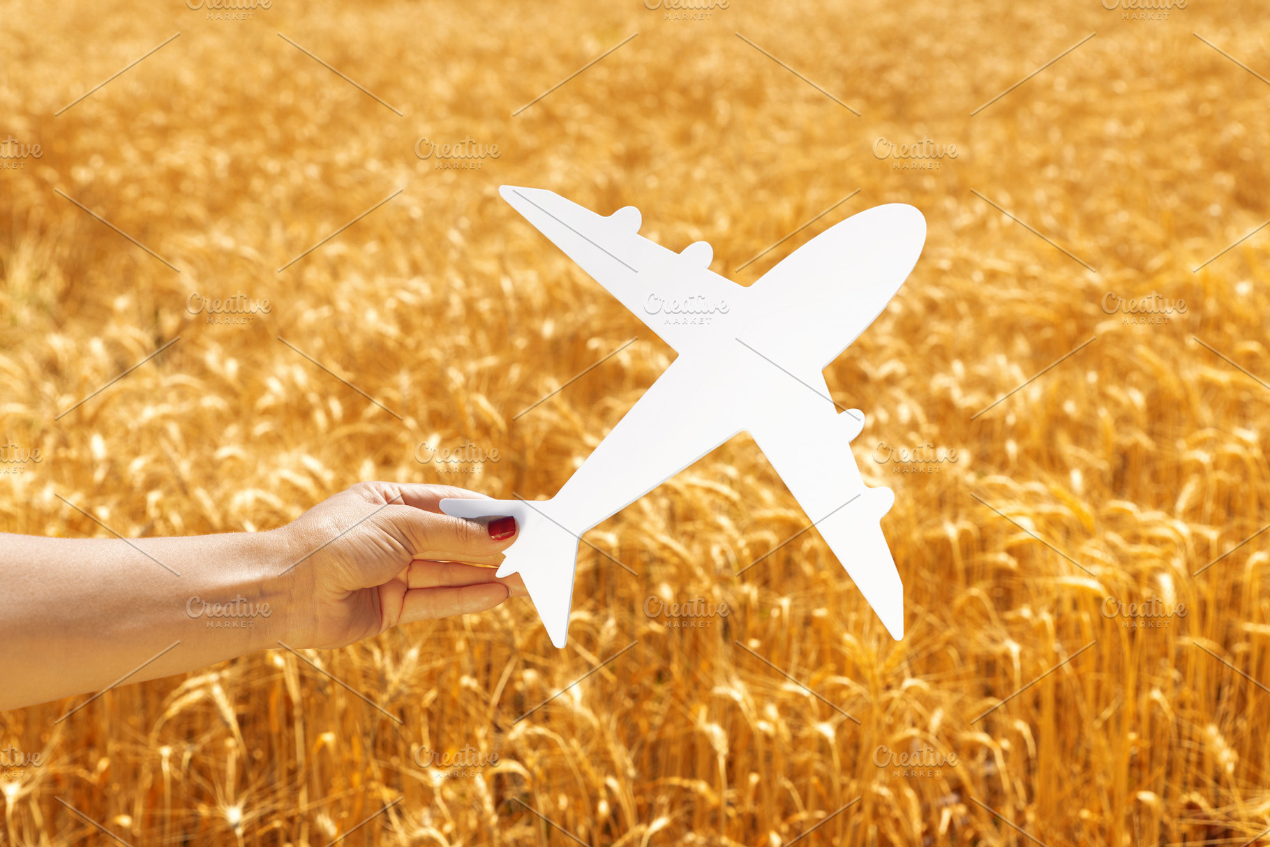 Female hand holding a white airplane cutout against a golden whe, a Transportation Photo by Ales Munt