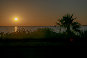 Sunset over the ocean with silhouetted palm trees, a Nature Photo by DanFLCreativo