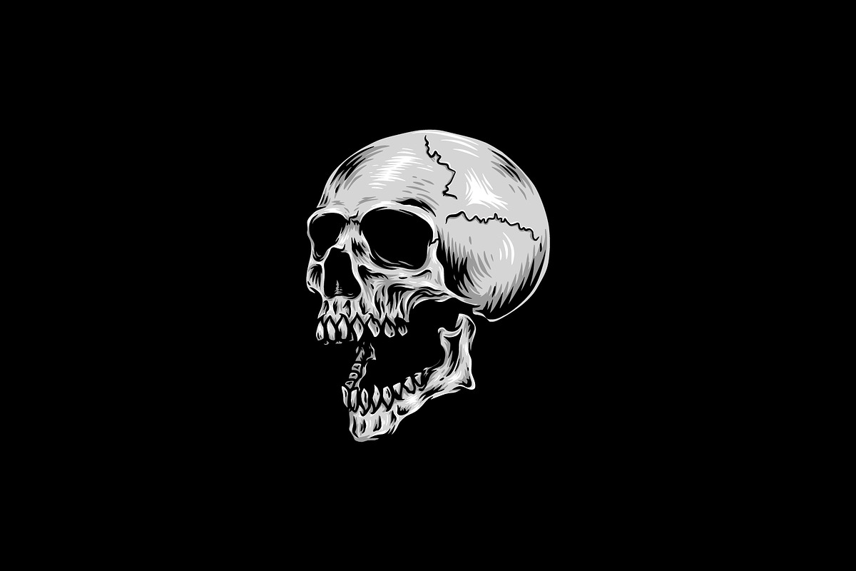 Skull Drawing Side View Illustration, an Object Illustration by zdson (Photo 3 of 3)
