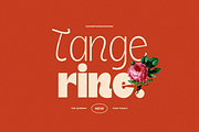 SNS - Querish, a Sans Serif Font by Sans & Sons (Thumbnail 4 of 10)
