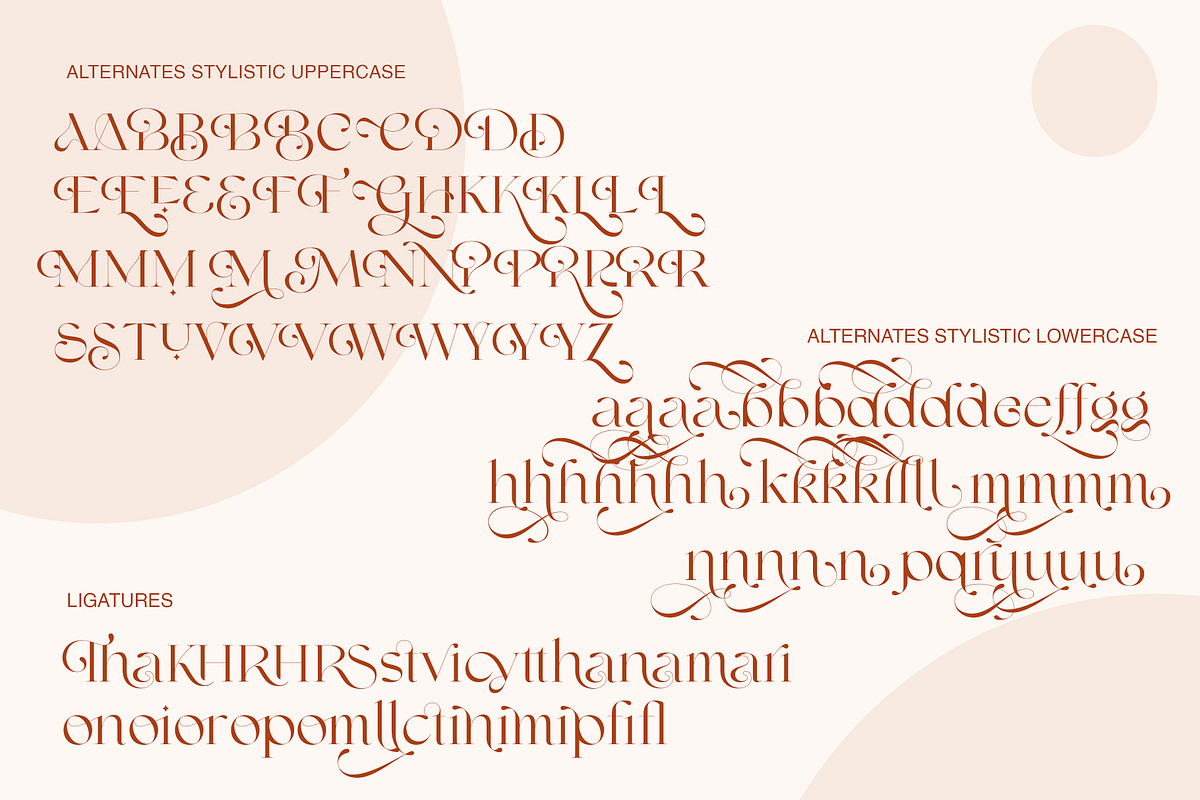 Shavina Elegance, a Serif Font by INKSUN™ (Photo 11 of 12)