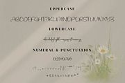 Asmeralka, a Script Font by Integritype Studio (Thumbnail 8 of 14)