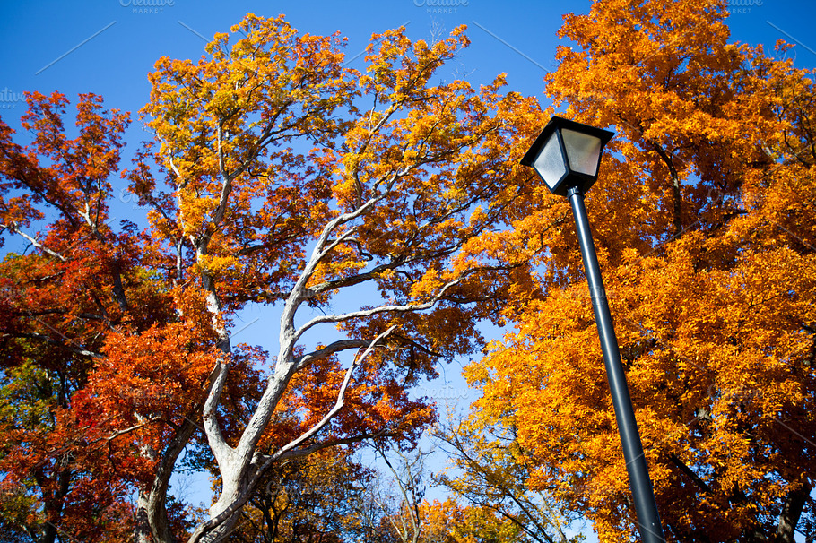 Colors And Light (Post)