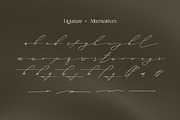 Amorate Signature - Script Font, a Script Font by Lettermine (Thumbnail 3 of 10)
