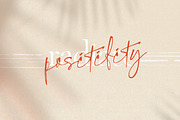 Sally Morrison Script & Serif, a Script Font by BlueRobinDesignShop (Thumbnail 2 of 22)