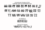 Dream Wedding, a Script Font by FreshTypeINK (Thumbnail 5 of 8)