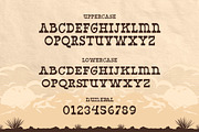 West Yard - Western Display Font, a Serif Font by Typefactoryco (Thumbnail 2 of 9)