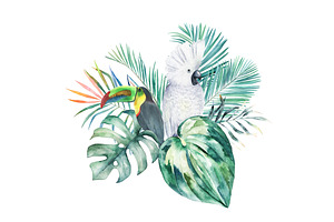 Jungle Print With Parrot