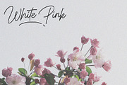 Paragraphy script font, a Script Font by MJtypefoundry (Thumbnail 10 of 12)