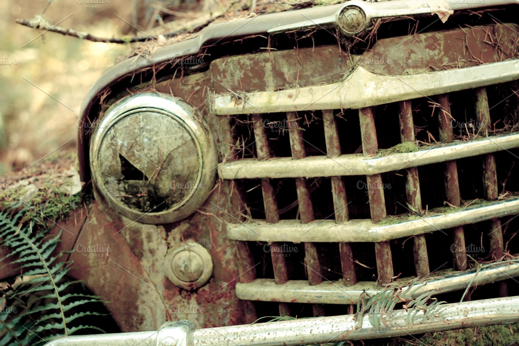 Abandoned truck containing vintage, old, and truck