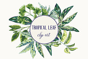 Tropical Leaf Clip Art, an Illustration by Ania Illustration (Thumbnail 1 of 6)