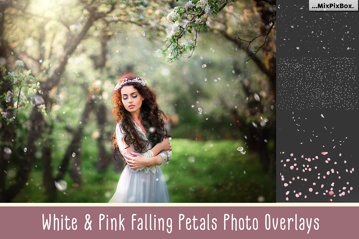 White and Pink Petals Overlays