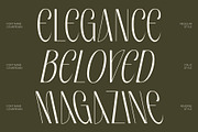 CS Merdian – Elegant Sans Serif, a Sans Serif Font by Craft Supply Co. (Thumbnail 3 of 8)