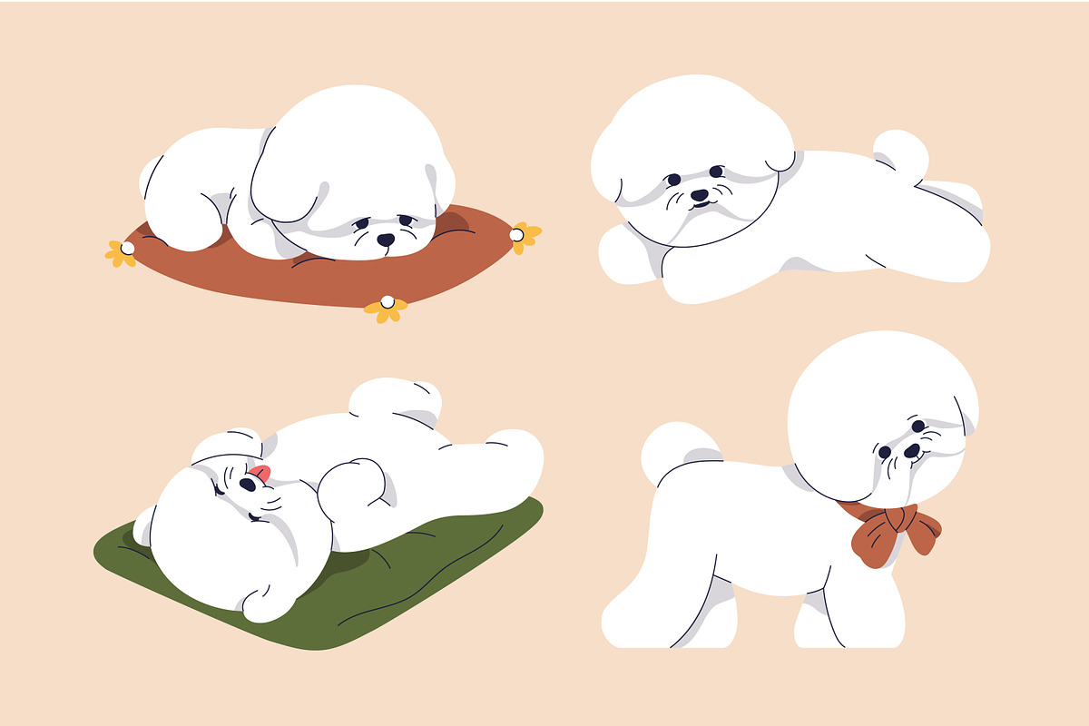 Cute dogs of Bichon Frise breed set, an Animal Illustration by Good Studio (Photo 3 of 10)