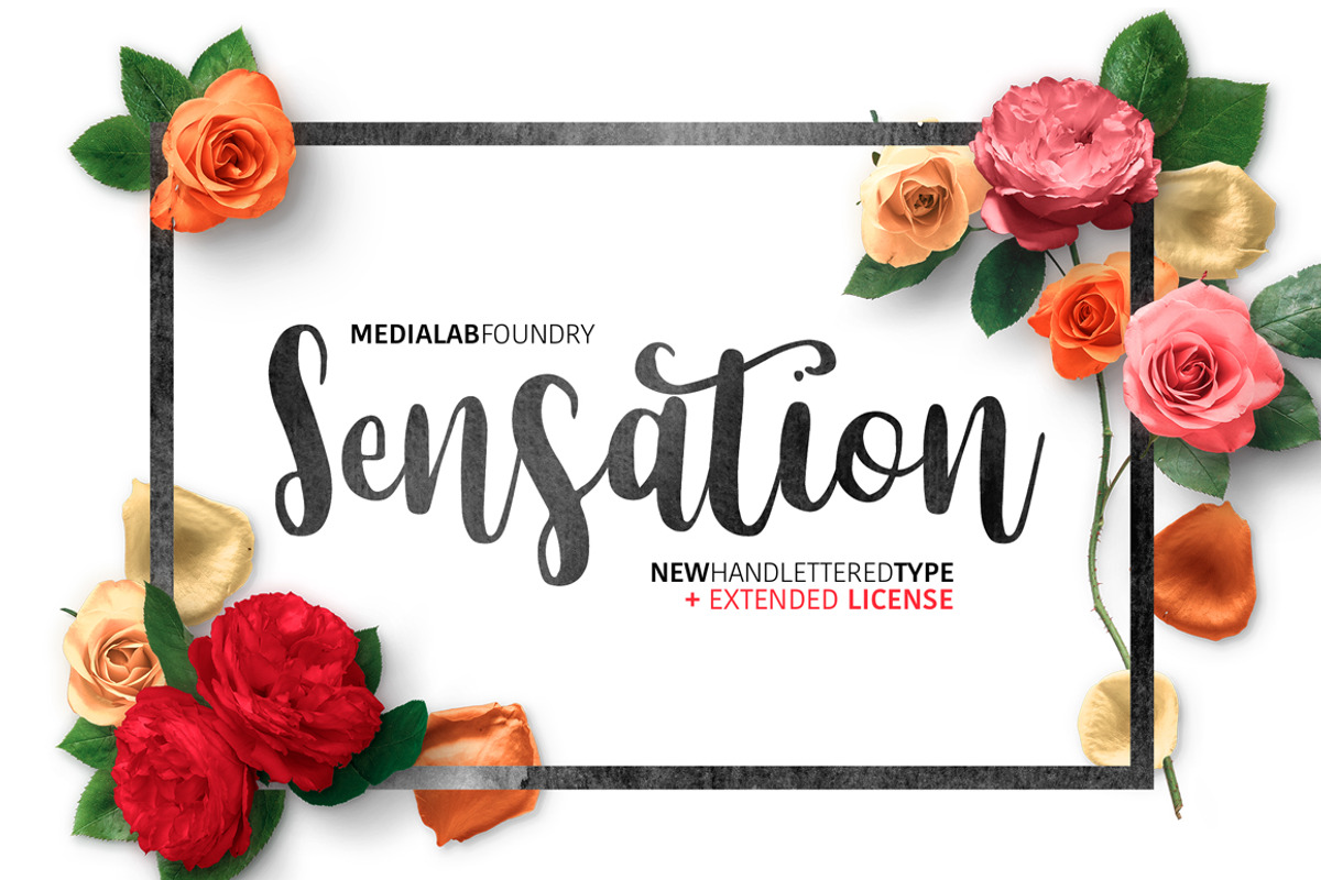 Sensation, a Handwritten Font by supfonts (Photo 1 of 5)