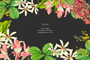 Vintage flowers and leaves, a Decorative Illustration by AS Studio (Thumbnail 1 of 4)
