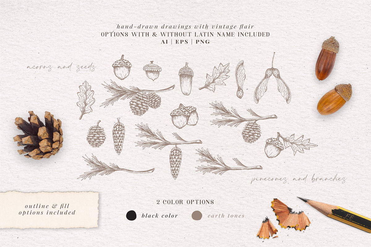 Forest sketchbook vintage collection, a Decorative Illustration by Pigment Café (Photo 2 of 7)