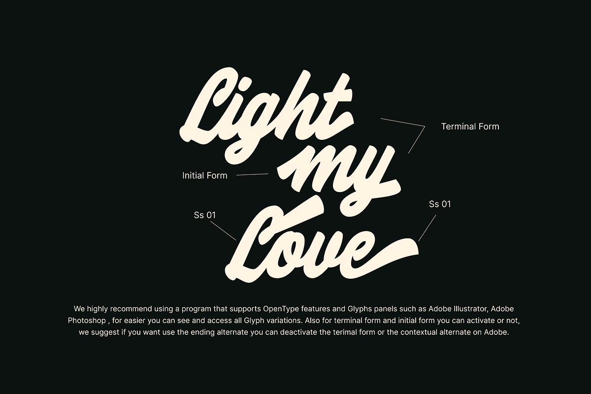 Lematins Script - Brush Font, a Script Font by Holyline Design (Photo 6 of 15)