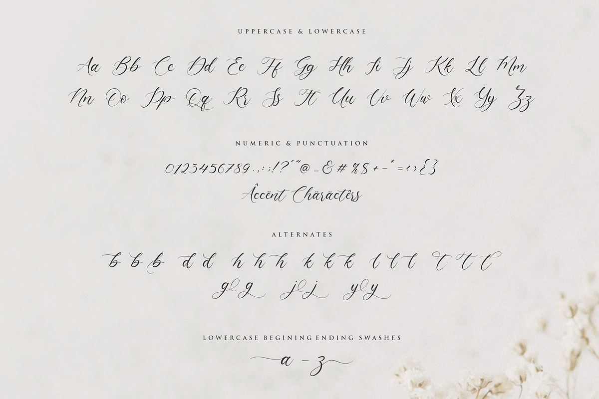 Claytona - Modern Calligraphy Script, a Script Font by Balpirick Studio (Photo 6 of 7)