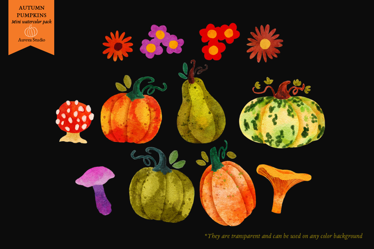 Autumn Pumpkins - Watercolor pack, a Seasonal Illustration by Auvrea Studio (Photo 3 of 5)