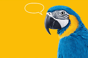 Vibrant blue macaw parrot with, an Animal Photo by MistyDay
