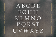 Gozas - Branding Logo Font, a Serif Font by Illushvara Design (Thumbnail 9 of 11)