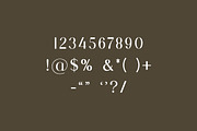 Supravitally Luxury Serif Font, a Serif Font by UICreative (Thumbnail 11 of 12)