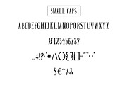 Belknap Font Family, a Serif Font by Linseed Studio (Thumbnail 12 of 13)