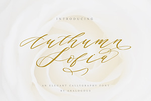 Authumn Sofia | Calligraphy Font