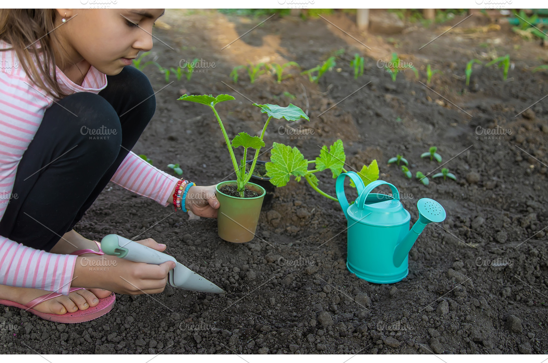 The child is planting a plant in the, a Nature Photo by yanadjana