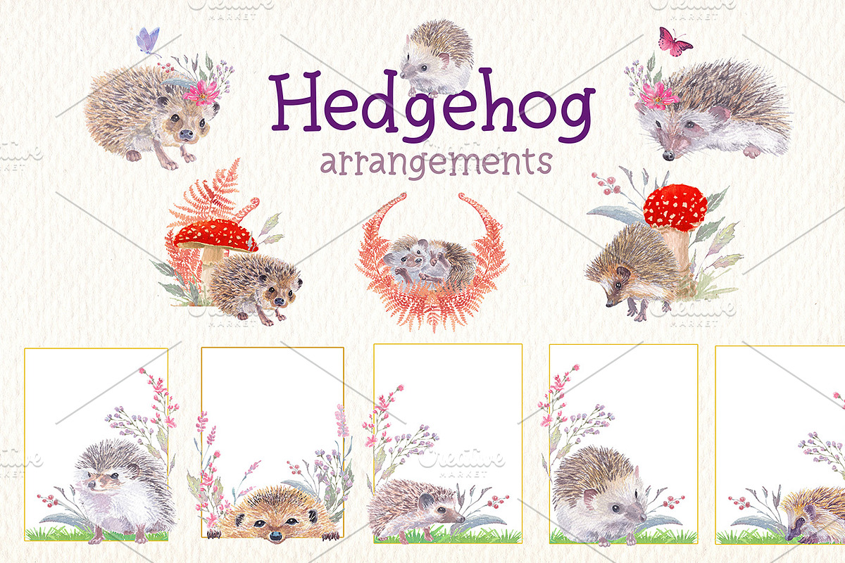 Hedgehog watercolor clipart, an Illustration by Art & Things (Photo 5 of 7)