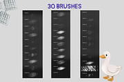 Procreate Pastel Brushes, a Brush Add-On by Elatedowl (Thumbnail 2 of 5)