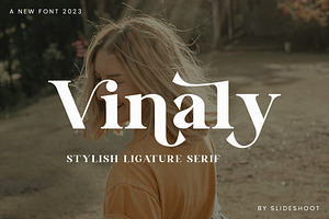 Vinaly Serif Font