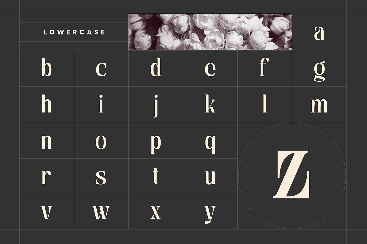 Astella Luxury - Branding Logo Font, a Serif Font by Nirmana Visual (Photo 11 of 16)