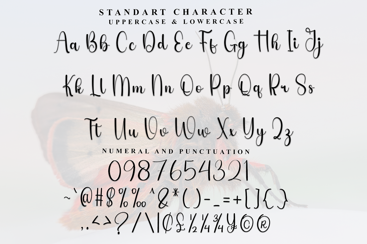 HappyAutumn, a Handwritten Font by InermediaSTUDIO (Photo 3 of 8)