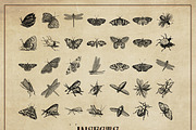 127 Procreate Insects stamps brushes, a Brush Add-On by Endete & Mazak brushes (Thumbnail 3 of 5)