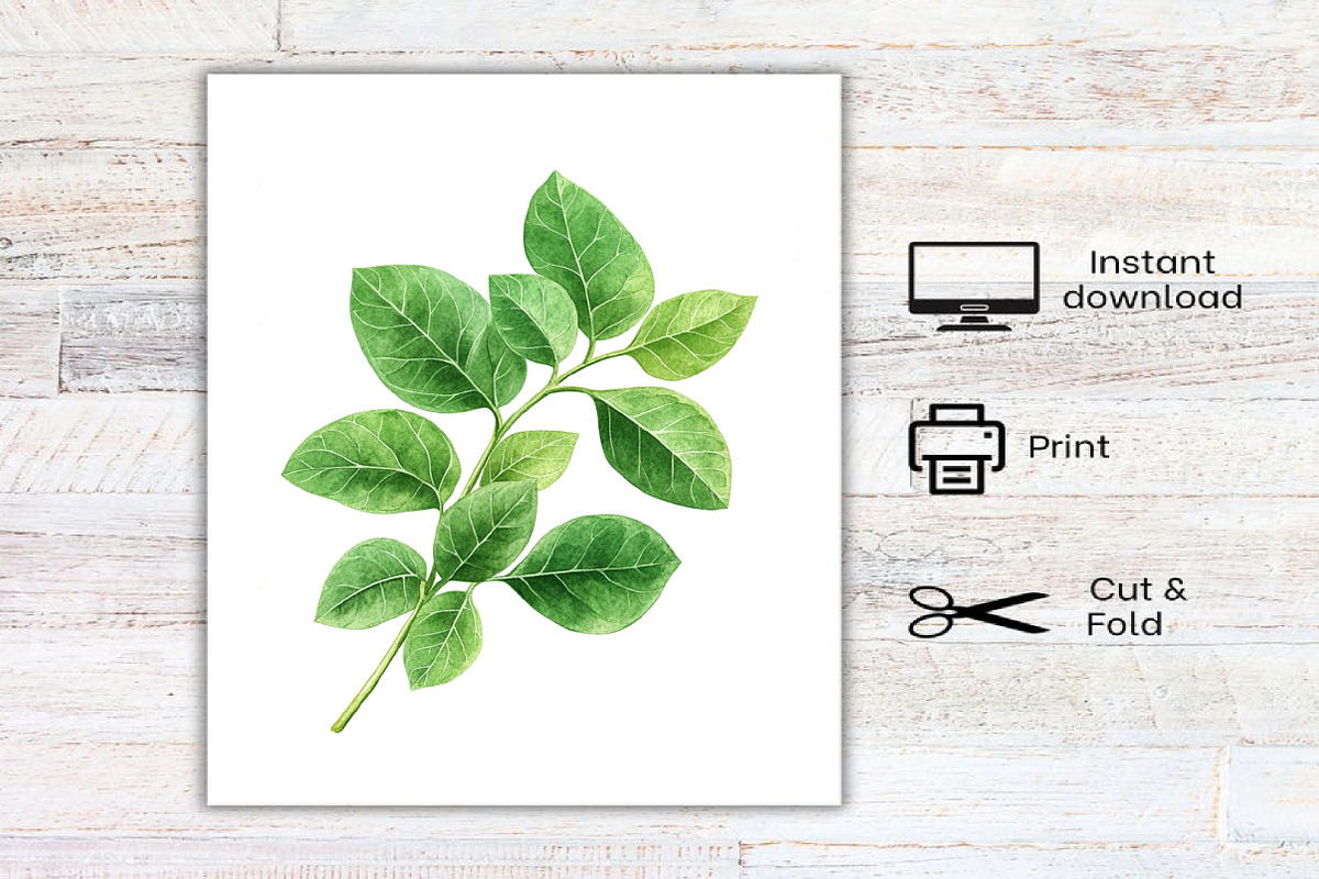 Watercolor Soybean Clipart Bundle, an Illustration by Canvas Craft (Photo 8 of 8)