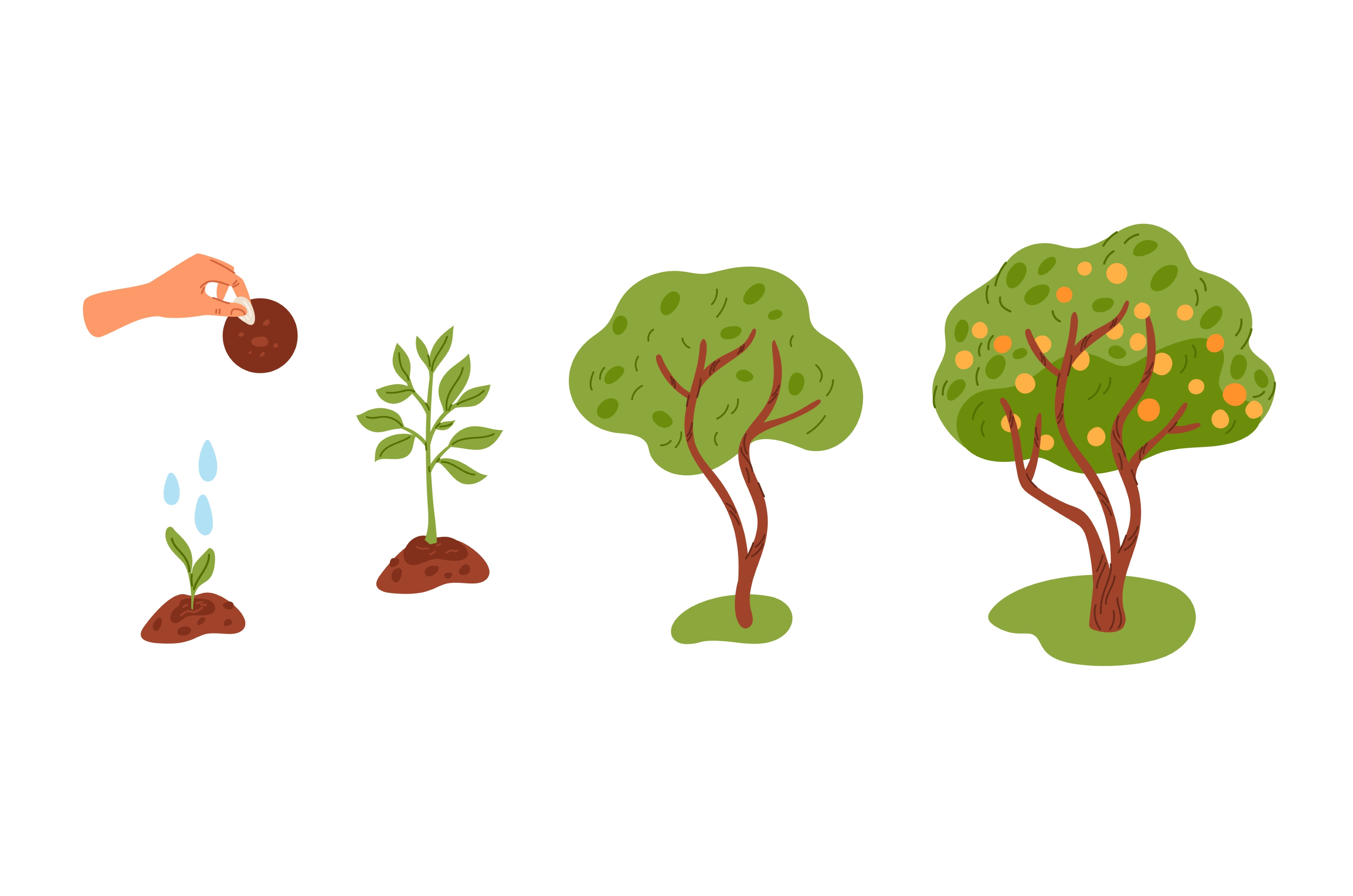 Tree growth life cycle. Growing, an Object Illustration by Vectorbuum